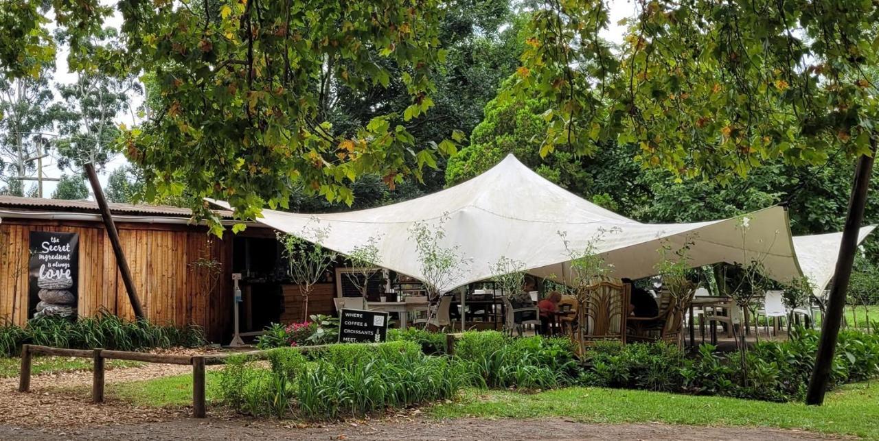 دوربان Caladdi Bed And Breakfast المظهر الخارجي الصورة