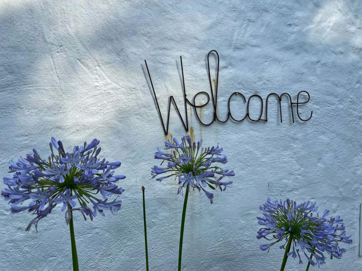 دوربان Caladdi Bed And Breakfast المظهر الخارجي الصورة