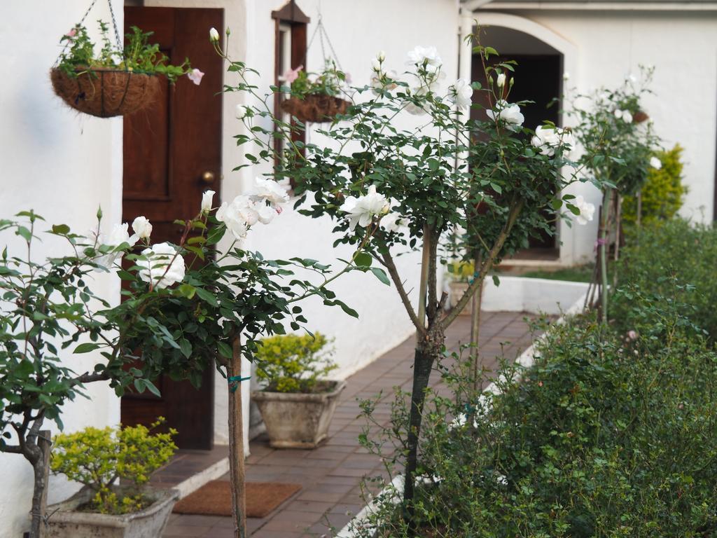 دوربان Caladdi Bed And Breakfast المظهر الخارجي الصورة