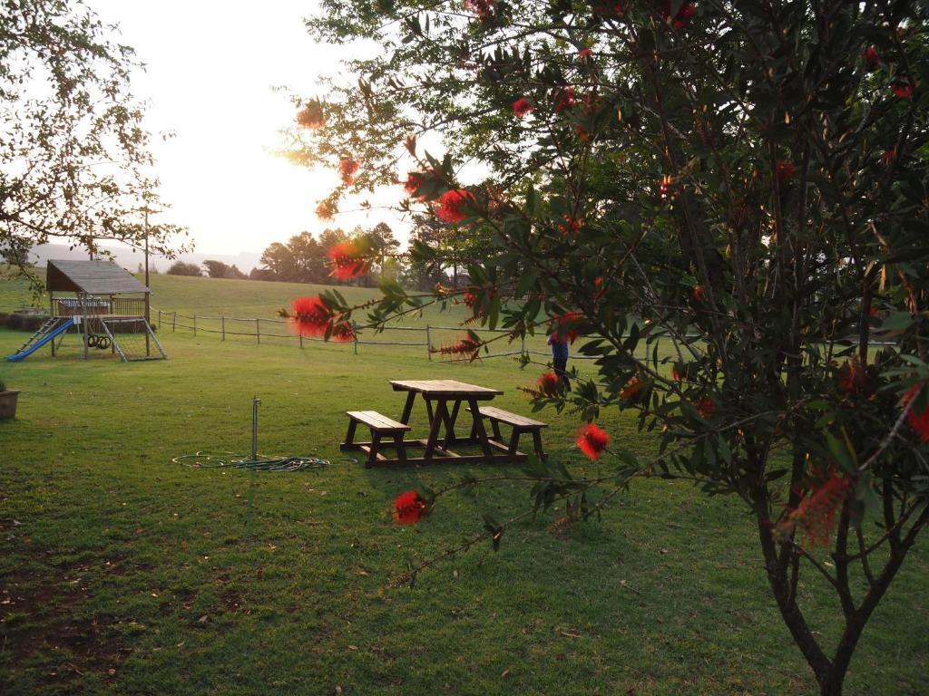دوربان Caladdi Bed And Breakfast المظهر الخارجي الصورة